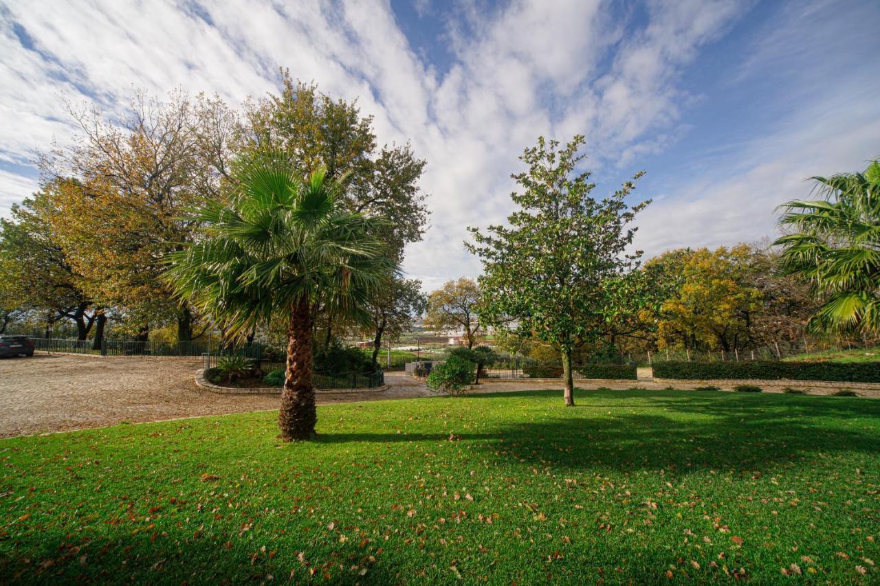 Aria - Villa Di Campagna Montecorvino Rovella Extérieur photo